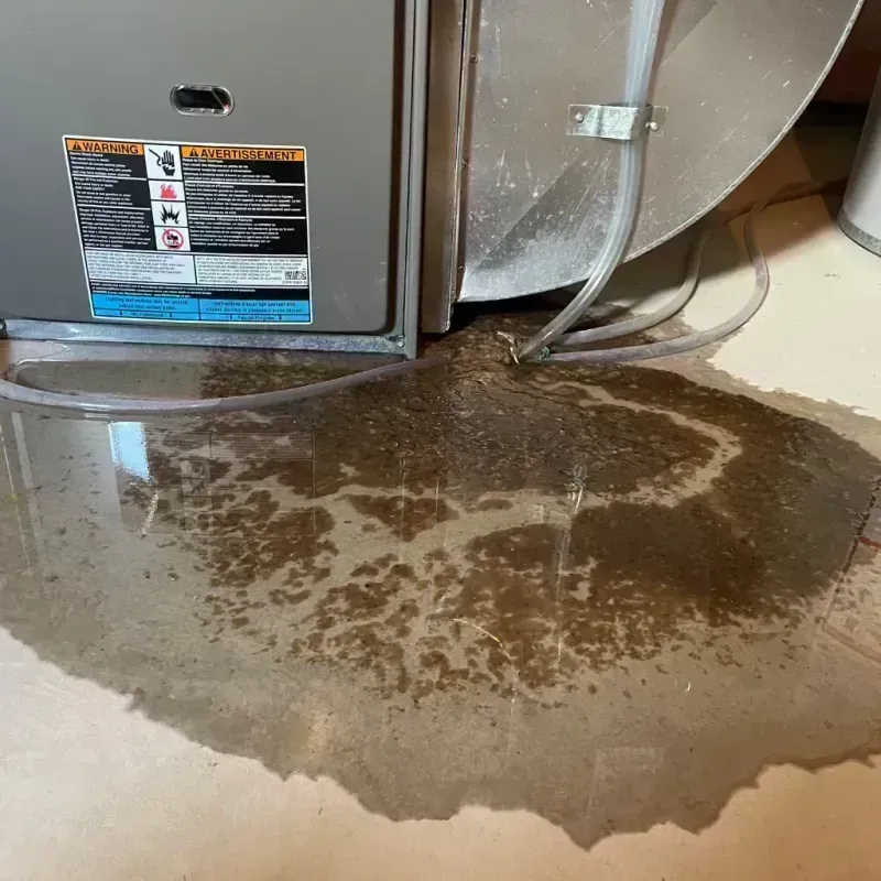 Appliance Leak Cleanup in Marion County, WV